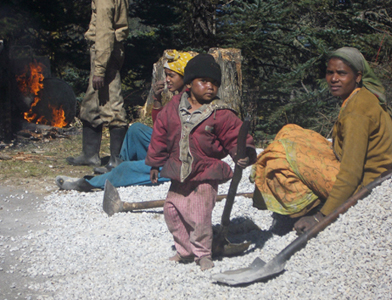 Indian workers